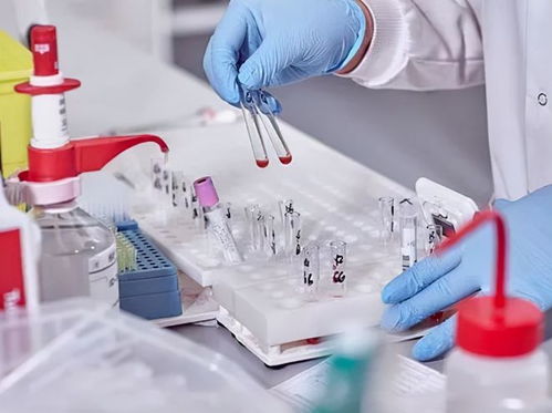 酒店洗護用品 在“洗牌、淘汰、升級”中重塑行業標準