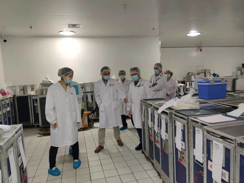 服務(wù)航空配餐企業(yè)，助力航空食品安全，承接檔案服務(wù)外包